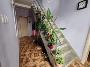 254 m2+ 20 m2, 3,54 m2, kostolacki put 160.000