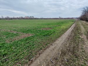 Plac Pozarevac, Meminac 55.85 a