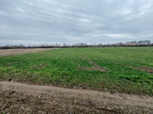 Plac Pozarevac, Beogradski put , Meminac 55.85 a