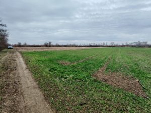 Plac Pozarevac, Meminac 55.85 a