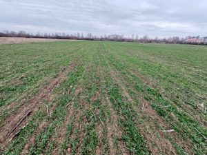 Plac Pozarevac, Meminac 55.85 a