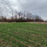 Beogradski put , Meminac