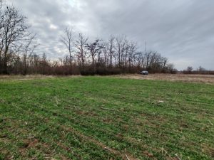 Beogradski put , Meminac