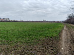 Plac Pozarevac, Meminac 55.85 a