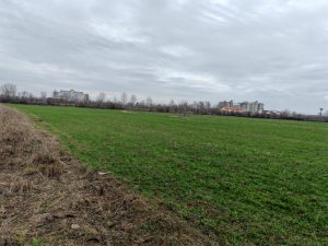 Plac Pozarevac, Meminac 55.85 a