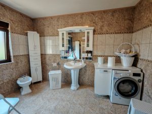 Pozarevac kuca Busije 300 m2, 4.89 ara, CG