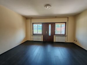 POZAREVAC KUCA PETROVACKI PUT 372 M2