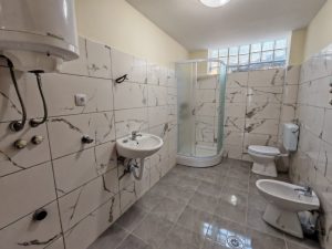 POZAREVAC KUCA PETROVACKI PUT 372 M2
