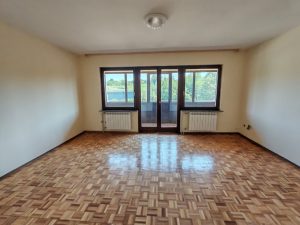 POZAREVAC KUCA PETROVACKI PUT 372 M2