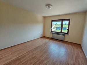 POZAREVAC KUCA PETROVACKI PUT 372 M2