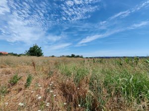 LUCICA PLAC 28,95 a, pogodno za izgradnju 30.000