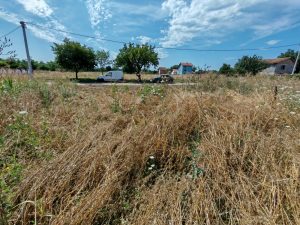 LUCICA PLAC 28,95 a, pogodno za izgradnju 30.000